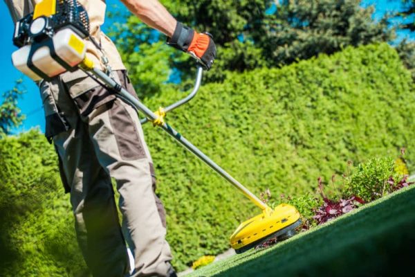 Entrepreneur paysagiste avec un taille bordure